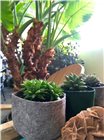 Pot géotextile vert spécial succulentes 12,7x7,62 cm 1 litre